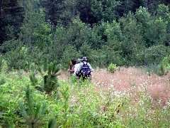 IAT; Old Railroad Segment, WI